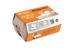 Chicken vicken eggs (Copy)